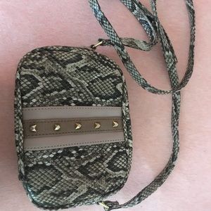 Snakeskin purse